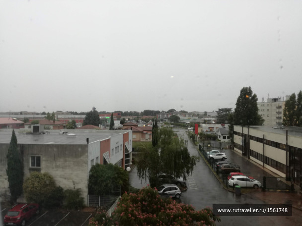 photo 1661461