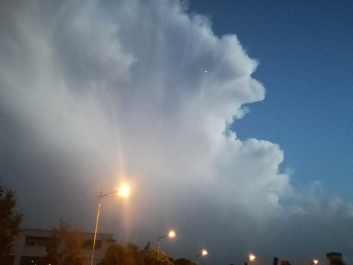 photo 1661462