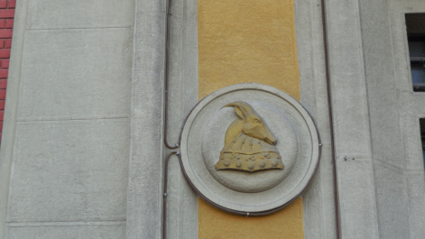 photo 1594835