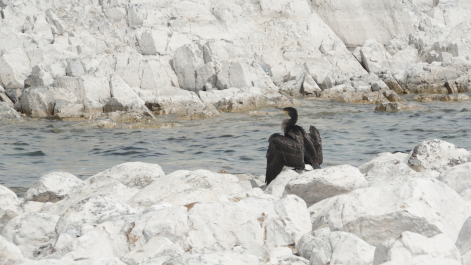 photo 1595599
