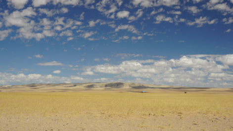 photo 1595646