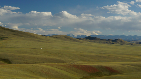 photo 1595659
