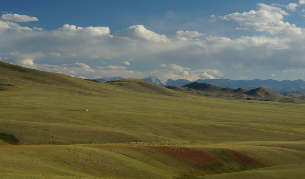 DSC09538