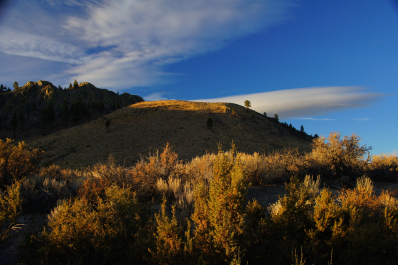 photo 1595716