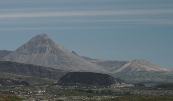 ORG_DSC01355
