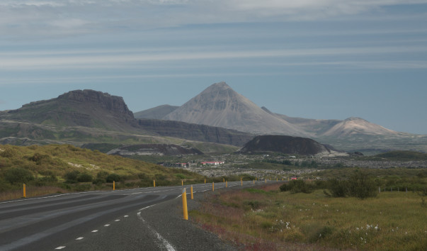 ORG_DSC01353
