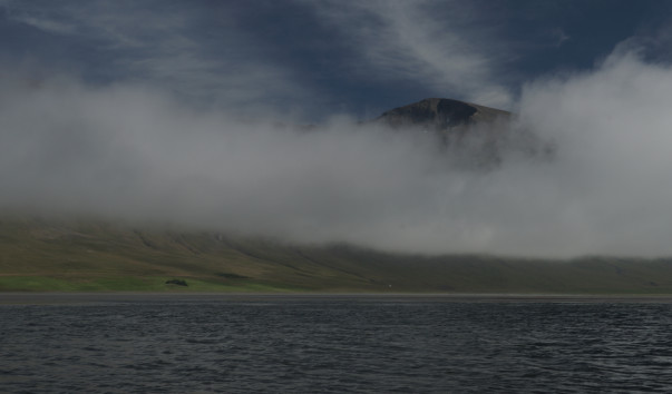 ORG_DSC01404