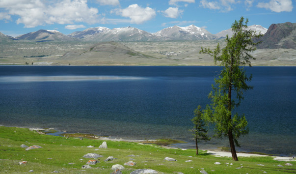 DSC05556