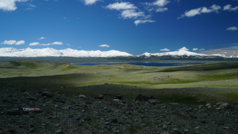 photo 1865508