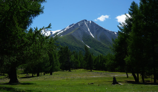 DSC05634