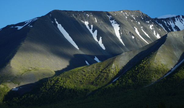 DSC06016
