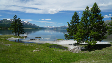 photo 1865567