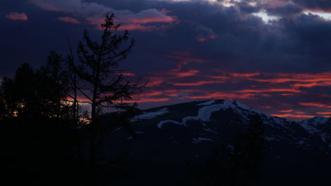 photo 1865568