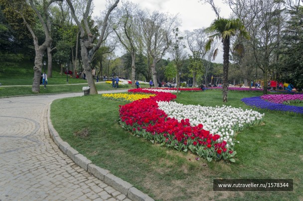 photo 1622411