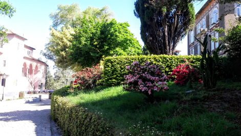 photo 1759869