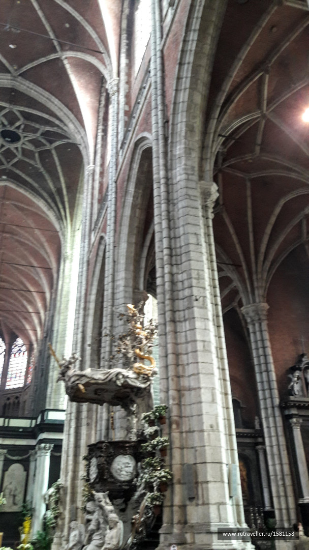 photo 1772883