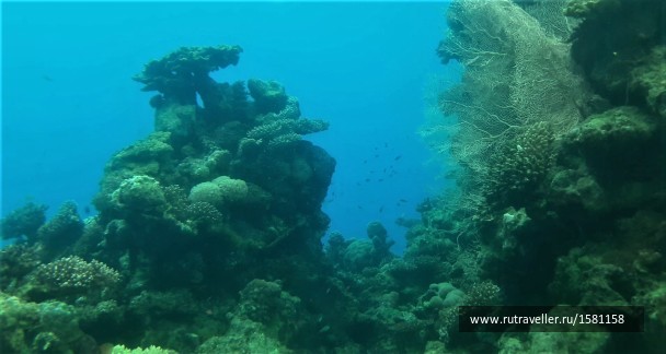 photo 1774455