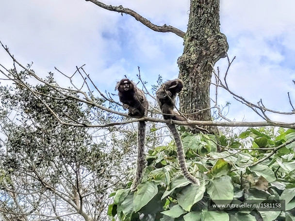 photo 1795444