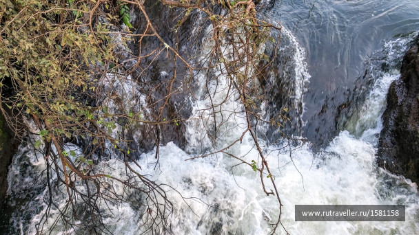photo 1795959