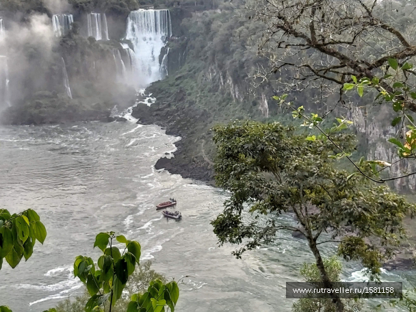 photo 1795966