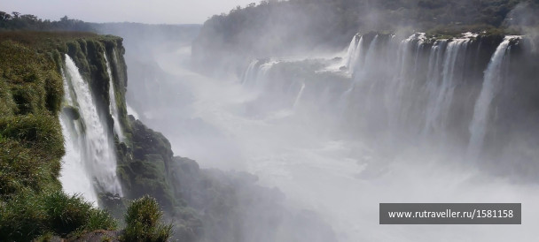 photo 1796264
