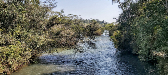 photo 1796274