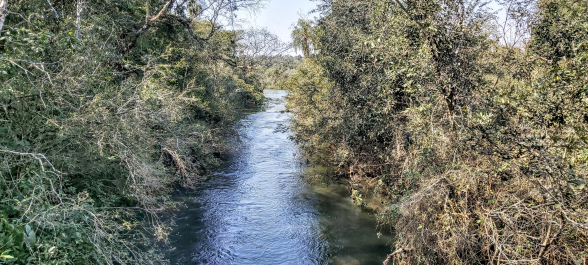 photo 1796275