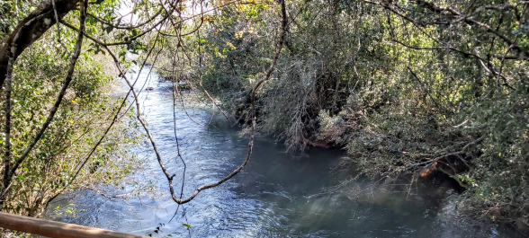 photo 1796276