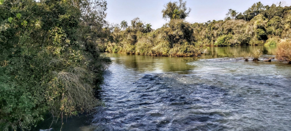 photo 1796278