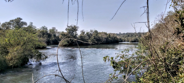 photo 1796281
