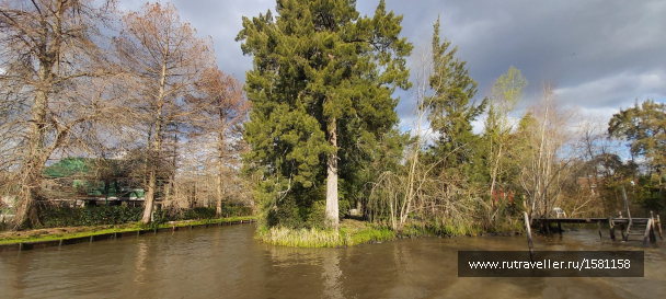 photo 1797084