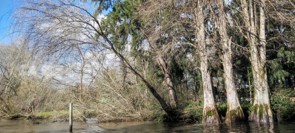 photo 1797092