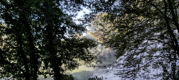 photo 1820945