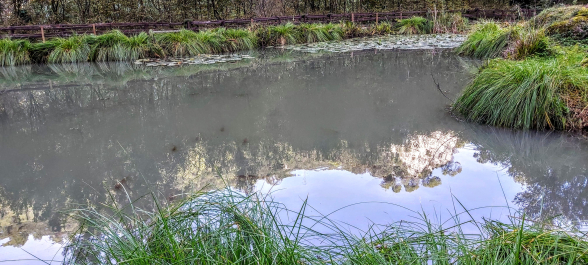 photo 1820953