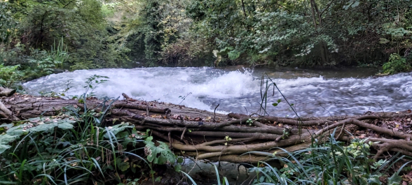 photo 1821151