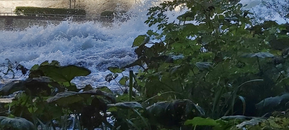 photo 1821161