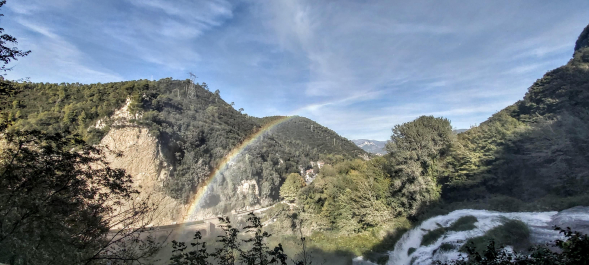 photo 1821166