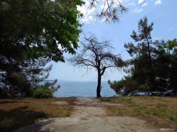 photo 1620553