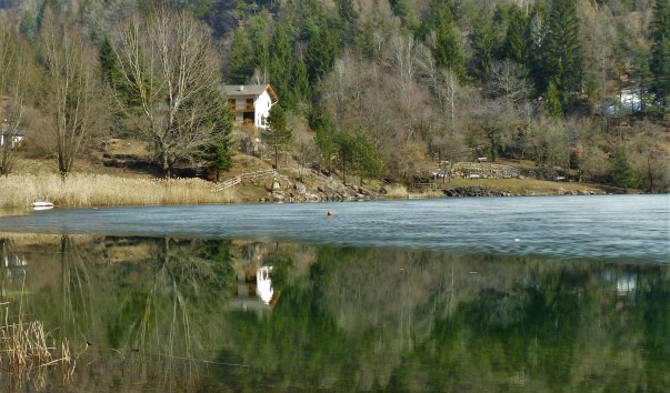 P1000788