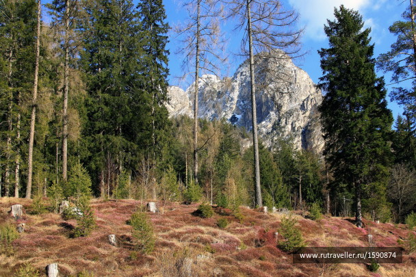 photo 1616436