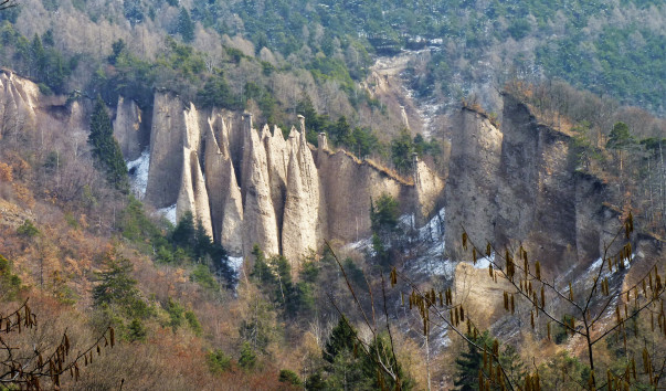 P1000777
