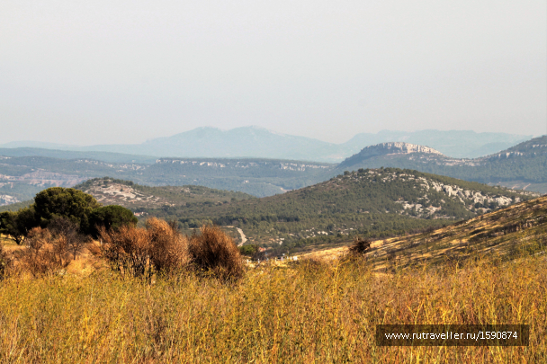 photo 1617233