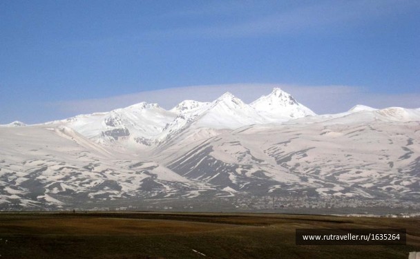 photo 1635418