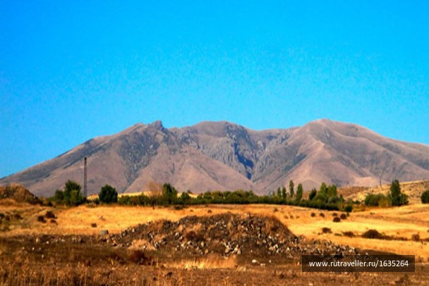 photo 1635419