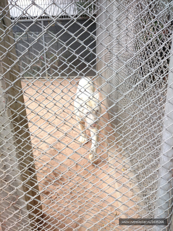 photo 1635454
