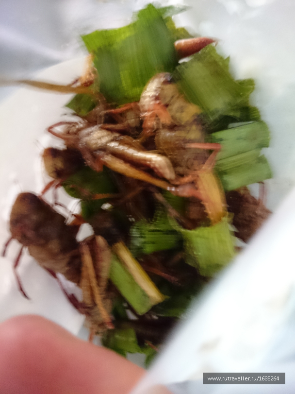 photo 1635458