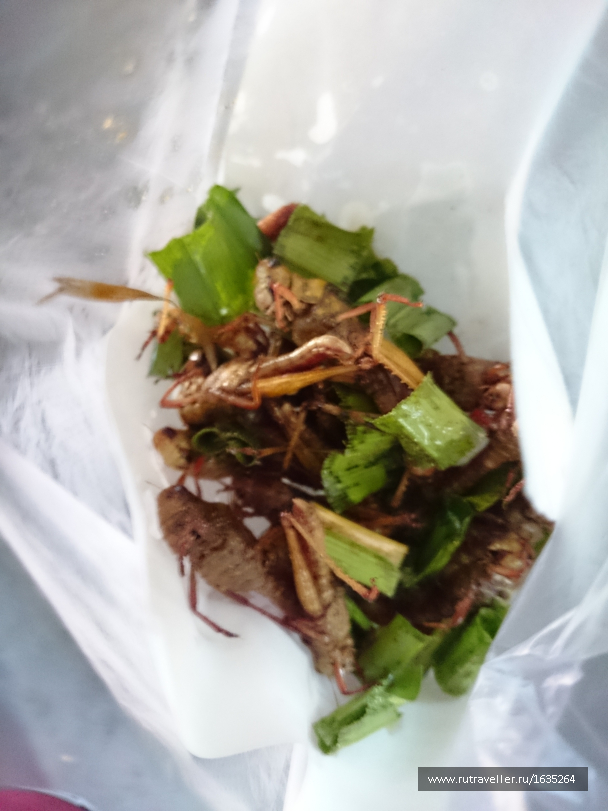 photo 1635459
