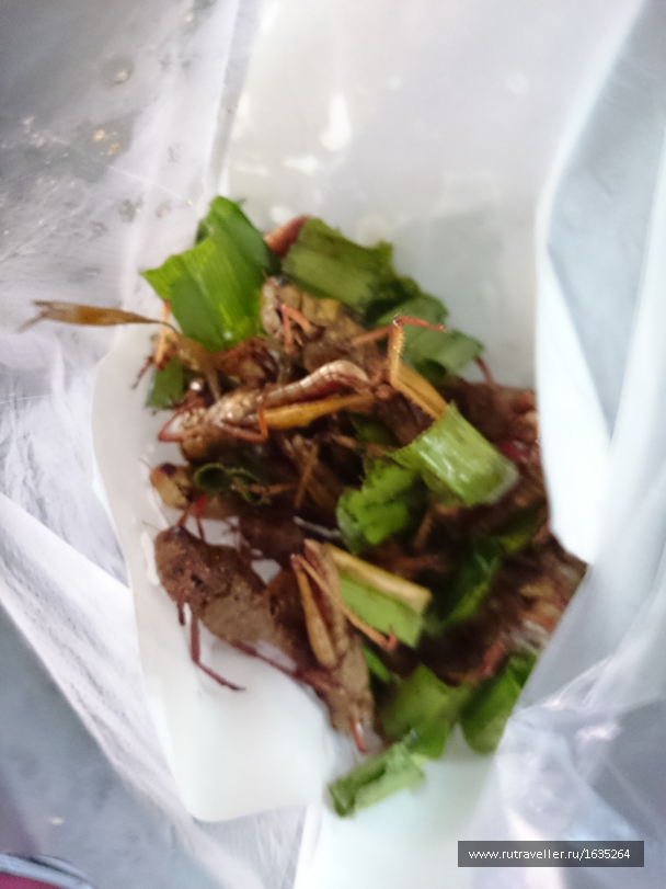 photo 1635461