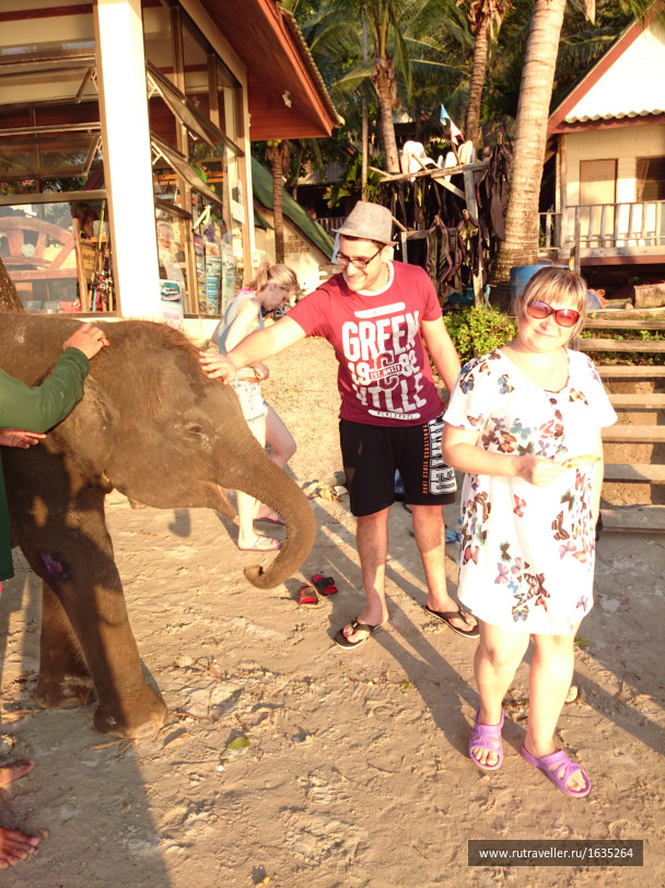 photo 1636231