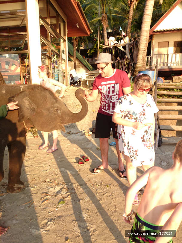 photo 1636232